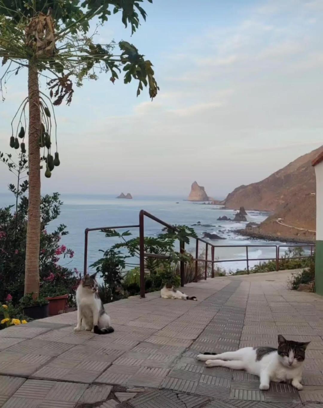 Casa Manolo Paraiso Beach Trail Альмасига Экстерьер фото